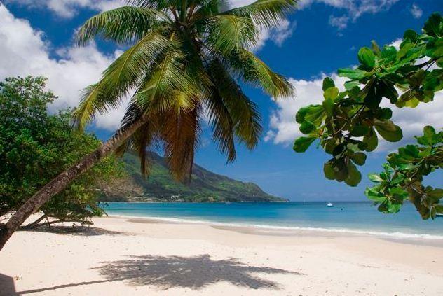 Rowsvilla Guest House Beau Vallon (Mahe) Exterior foto